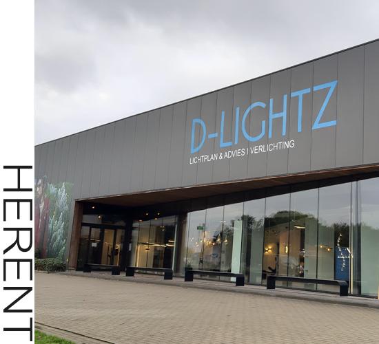 Schijnen Definitief Dwingend D-LIGHTZ | De shop