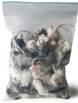 Ongesorteerde muis (10 - 40g) - 1kg