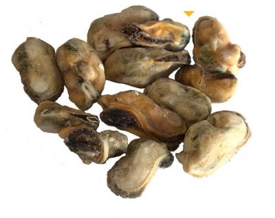 KB Viande de moules  IQF 1kg