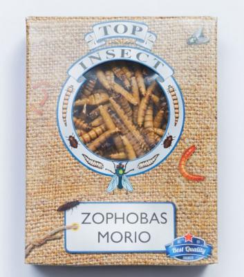 Insect vers de morio - Zophobas Morio boîte d'1 litre = +/- 400g