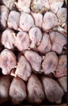 Kwartel zonder pluimen met ingewanden(180-220g) Doos 6kg