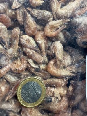 Garnalen IQF 15kg